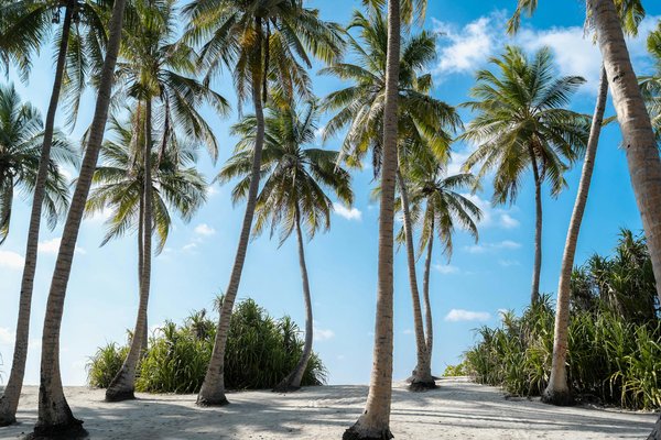 Assurer une location de mobil home : Pourquoi et comment ?