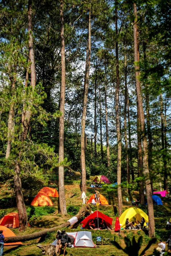 Les essentiels du camping écologique : votre guide en France